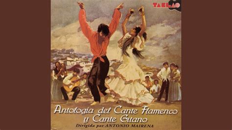 Siguiriyas del Rocio; A Heart-Wrenching Journey through Melodic Lament and Rhythmic Flamenco Passion